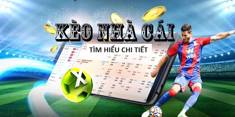 Tỷ Lệ Kèo World Cup 2026 Uy Tín Từ Chuyên Gia